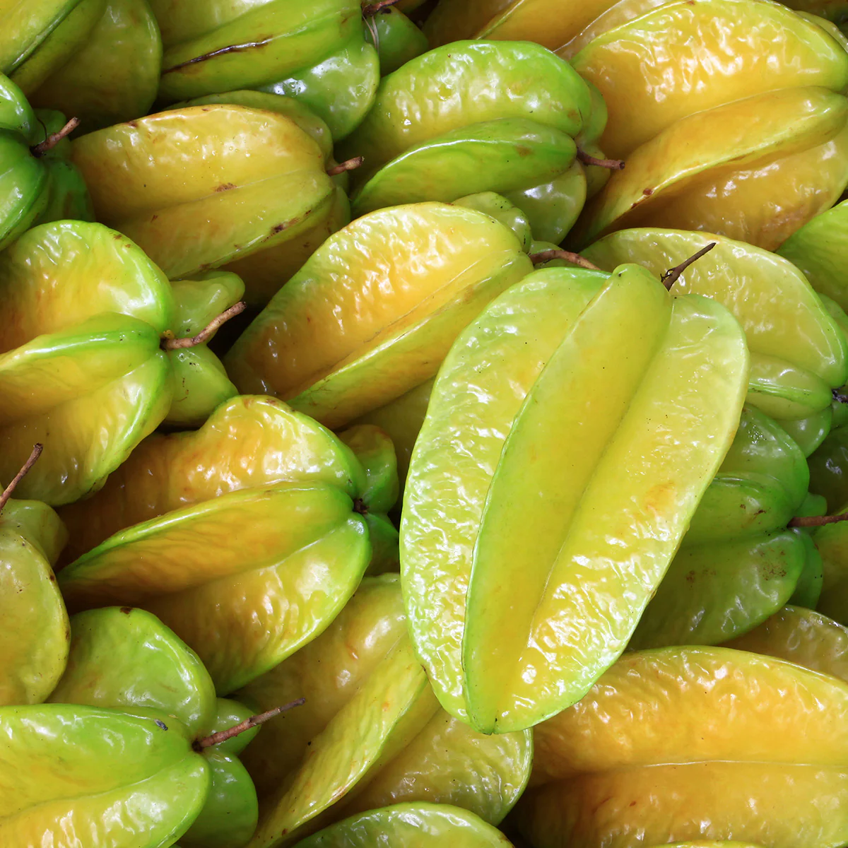 Sweet Organic Tropical Starfruit - obrazek 2