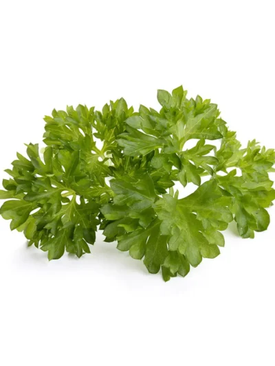 Natural Fresh Organic Parsley Flavor